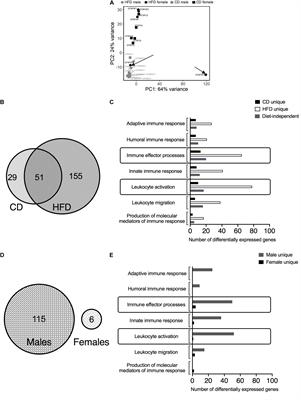 Phenotypic Changes in T Cell and Macrophage Subtypes in Perivascular Adipose Tissues Precede High-Fat Diet-Induced Hypertension